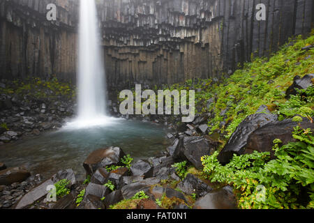 Cascade de Svartifoss et roches basaltiques en zone sud-est de l'Islande Banque D'Images