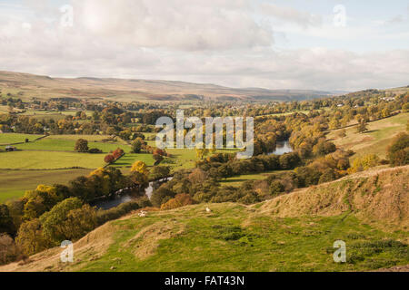 Une vue panoramique sur le fleuve Tees près de Middleton-in-Teesdale avec les arbres aux couleurs de l'automne et de Grassy meadows Banque D'Images