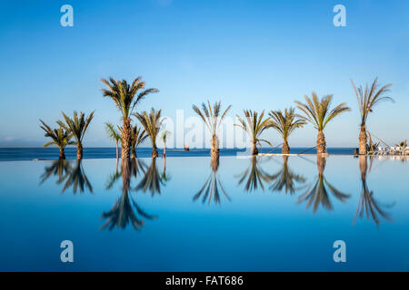 Chypre, Paphos, Paphos, Roi Evelthon hôtel. Palmtree reflet dans la piscine Banque D'Images