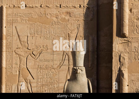 Statue d'Horus devant le Temple d'Edfou, Egypte Banque D'Images
