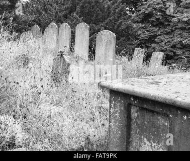 Cimetière pigeon. Banque D'Images