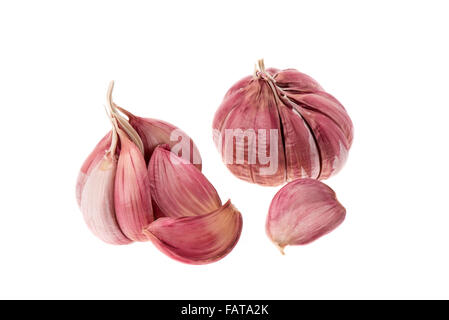 Gousses d'ail frais et bulbes - studio photo avec un fond blanc Banque D'Images