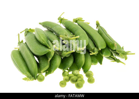 Gousses de pois et pois - studio photo avec un fond blanc Banque D'Images