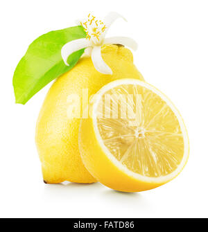 Citrons avec fleurs de citron isolé sur le fond blanc. Banque D'Images