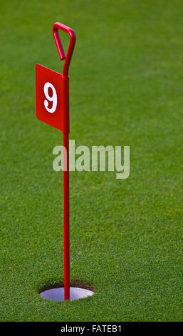 Golf Flag sur Putting Green Banque D'Images