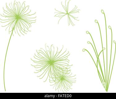 Concept écologique, une illustration collection de symboles ou arbre Paysage Cyperus papyrus isométrique ou Cyperaceae Plant Illustration de Vecteur