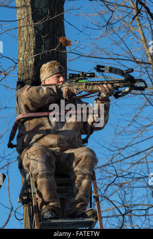 Chasseur à l'arbalète dans un peuplement d'arbres Banque D'Images