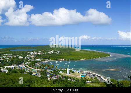 Avis à l'égard du nord Réserve naturelle de Las Cabezas de San Juan et phare du cap San Juan Fajardo, Porto Rico. Banque D'Images