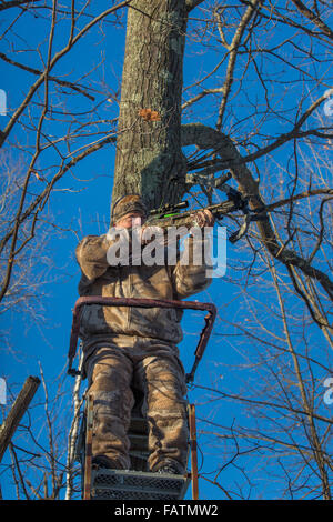 Chasseur à l'arbalète dans un peuplement d'arbres Banque D'Images