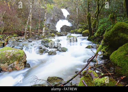 Todd Creek dans le parc provincial Chutes-de-poule, l'île de Vancouver Sooke Banque D'Images