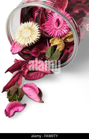Fleurs colorées s'échappant de récipient en plastique Banque D'Images