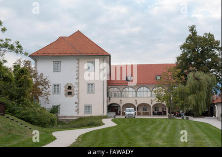 Château de Kieselstein à Kranj, Slovénie, Région Banque D'Images