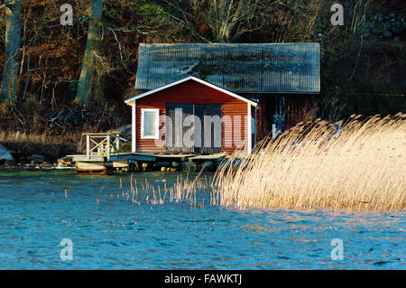 Un vieux hangar à bateaux en bois rouge, avec une petite jetée à l'avant. Reed et de l'eau en premier plan et forêt en arrière-plan. Le vent est pliant Banque D'Images