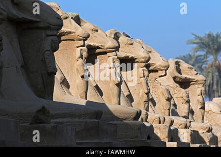 Dromos avec rangée de sphinx à tête de bélier le Temple de Karnak à Louxor en Egypte près de complexes Banque D'Images