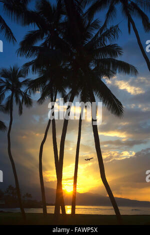 Avion décollant au coucher du soleil avec le soleil qui brille à travers les palmiers sur la côte nord de Maui Banque D'Images