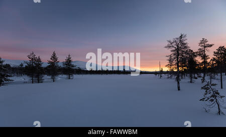 L'hiver dans le parc national Urho Kekkonen, Sodankylä, Laponie, Finlande, Europe, UNION EUROPÉENNE Banque D'Images