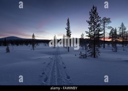 Ski de randonnée dans le parc national Urho Kekkonen, Sodankylä, Laponie, Finlande, Europe, UNION EUROPÉENNE Banque D'Images