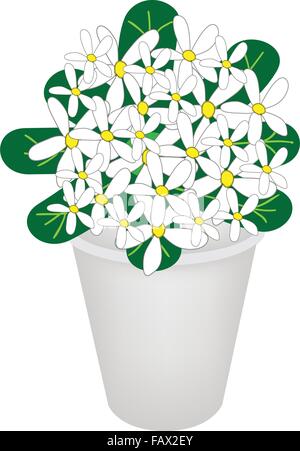 Belle fleur, une illustration de la belle White Gardenias commun ou Cape Fleurs de jasmin sur feuilles vertes en cache-pot pour Gard Illustration de Vecteur