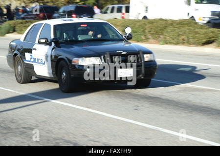 Les travailleurs de la San Bernardino County Office Building où la fusillade s'est produite sont évacués en bus comprend : San Bernardino comté Office Building workers Où : Los Angeles, California, United States Quand : 03 déc 2015 Banque D'Images