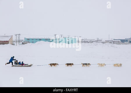 Les enfants de l'école élémentaire ride un traîneau tiré par des chiens de traîneau autour de la lagune, Barrow, versant nord, l'Alaska arctique, USA, Hiver Banque D'Images