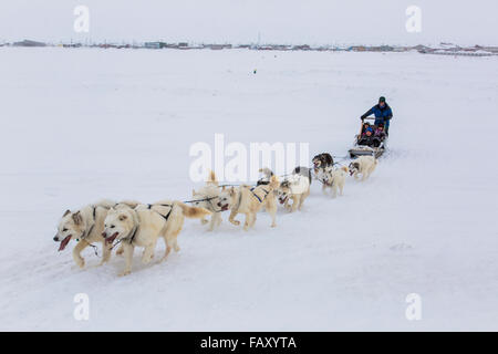 Les enfants de l'école élémentaire ride un traîneau tiré par des chiens de traîneau autour de la lagune, Barrow, versant nord, l'Alaska arctique, USA, Hiver Banque D'Images