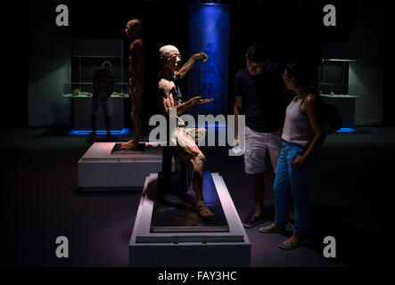 Buenos Aires, Argentine. 5e Jan, 2016. Personnes visitent l'exposition "Le corps humain" à Buenos Aires, Argentine, le 5 janvier 2016. © Martin Zabala/Xinhua/Alamy Live News Banque D'Images