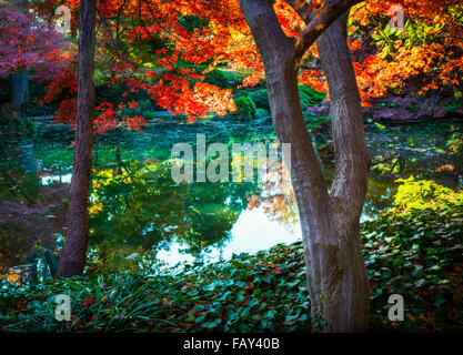 Le Fort Worth Japanese Garden est un jardin japonais 7,5 acres dans le Fort Worth (Texas) Botanic Garden Banque D'Images