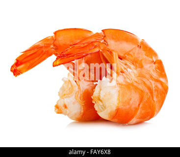 Crevettes Tiger. Gambas isolé sur un fond blanc. Fruits de mer Banque D'Images