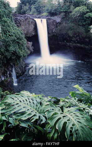 Big Island, Hawaii, Rainbow Falls à Hilo Banque D'Images