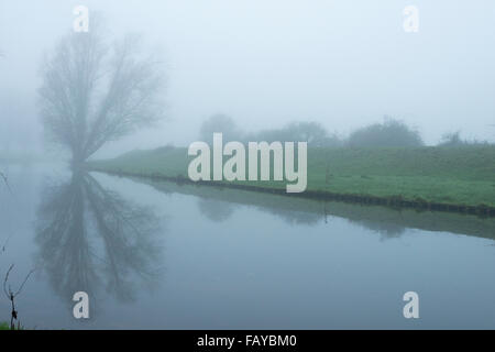 Les fens à Willingham, Cambridgeshire, Royaume-Uni. 6 janvier 2016. À l'aube un brouillard épais couvre le Old West River dans les fens à Willingham dans Cambridgeshire. C'était étrangement calme, sombre et toujours avec pas de vent et comme miroir reflet dans la rivière. L'ancienne rivière West fait partie de la Great Ouse système exécutant des Midlands de l'East Anglia le laver à Kings Lynn et jusqu'à présent cet hiver a réussi à contenir l'eau de pluie. Credit : Julian Eales/Alamy Live News Banque D'Images