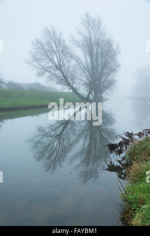 Les fens à Willingham, Cambridgeshire, Royaume-Uni. 6 janvier 2016. À l'aube un brouillard épais couvre le Old West River dans les fens à Willingham dans Cambridgeshire. C'était étrangement calme, sombre et toujours avec pas de vent et comme miroir reflet dans la rivière. L'ancienne rivière West fait partie de la Great Ouse système exécutant des Midlands de l'East Anglia le laver à Kings Lynn et jusqu'à présent cet hiver a réussi à contenir l'eau de pluie. Credit : Julian Eales/Alamy Live News Banque D'Images