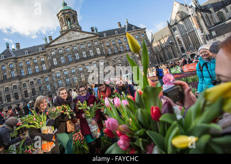 Pays-bas, Amsterdam, début de saison des tulipes. La Place du Dam. Palais Royal. Les gens peuvent choisir les tulipes pour gratuitement. Journée nationale Tulip Banque D'Images