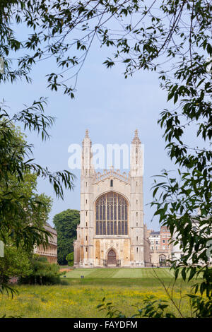 King's College Chapel, une partie de l'Université de Cambridge en Angleterre, Royaume-Uni Banque D'Images