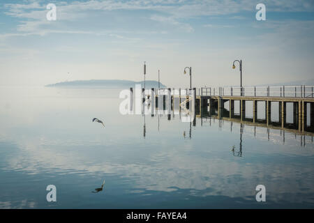 Pier et gull sur un lac calme tranquille Banque D'Images