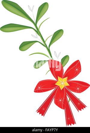 Bouquet de Gui Viscum Album ou avec un ruban rouge de Noël et Star Ornament pour célébrer Noël, Isolated on White Backg Illustration de Vecteur