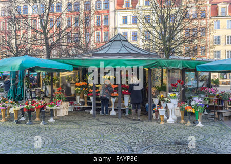 Cale de fleurs Plac Solny Square Wroclaw Old Market Banque D'Images