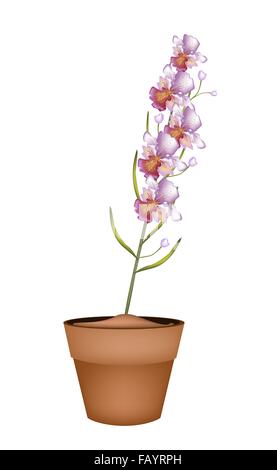 Un symbole de l'amour et le Luxe, Illustration belle couleur rose Les orchidées Vanda dans les pots de fleurs en terre cuite pour décoration de jardin. Banque D'Images