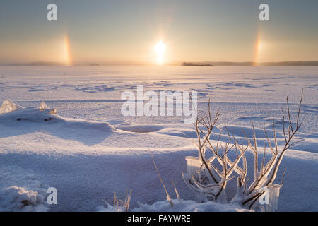 Usine glacé, gelé et enneigé lake et halo à Tampere, Finlande, en hiver. Banque D'Images