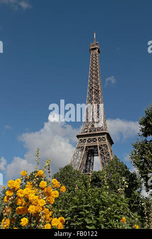 En regardant vers la Tour Eiffel, du Jardin du Champ de Mars, Paris, France. Banque D'Images