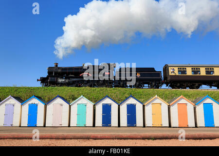 7827 Lydham Manor tire un train passé les cabanes de plage de Goodrington Sands, Paignton, Devon, sur une magnifique journée d'été Banque D'Images