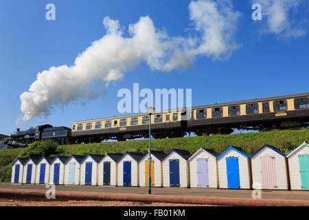 7827 Lydham Manor tire un train passé les cabanes de plage de Goodrington Sands, Paignton, Devon, sur une magnifique journée d'été Banque D'Images