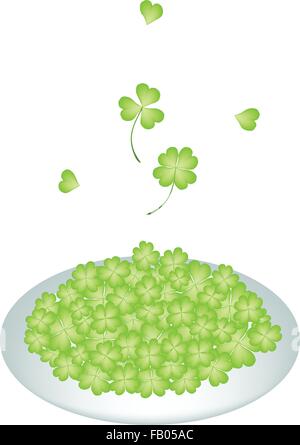 Symboles de Fortune et de chance, Vector Illustration tas de Trèfle à Quatre Feuilles fraîches ou plantes Shamrock sur une belle assiette blanche fo Illustration de Vecteur