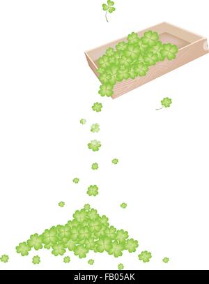 Symboles de Fortune et de chance, Vector Illustration tas de Trèfle à Quatre Feuilles fraîches ou plantes Shamrock tombant de boîte en bois sur T Illustration de Vecteur