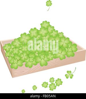 Symboles de Fortune et de chance, Vector Illustration Boîte en bois avec plein de trèfle à quatre feuilles de plantes ou de Saint Patrick pour Shamrock Illustration de Vecteur