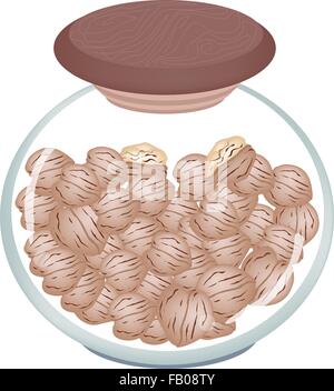 Illustration de l'obus et les noix dans un bocal en verre, bonne source de fibres alimentaires, vitamines et minéraux. Illustration de Vecteur