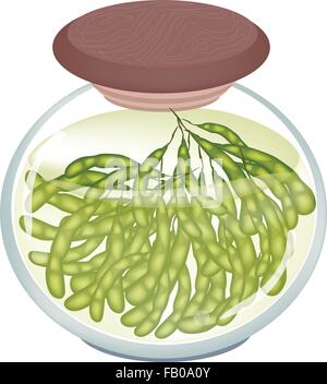 Fruits et légumes, une illustration de soja Edamame vert marinés ou gousses en saumure de vinaigre et de sel dans un bocal de verre Isolat Illustration de Vecteur