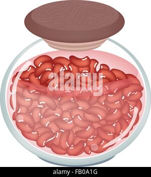 De Délicieuses conserves de haricots rouges dans un bocal en verre, bonne source de fibres alimentaires, vitamines et minéraux. Illustration de Vecteur