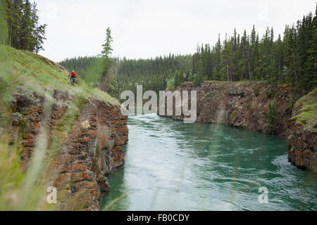 Sylvain de Boréale Explorers vtt le long de la rivière Yukon, près de Whitehorse, Canada. Banque D'Images