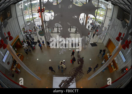 La California Academy of Sciences, San Francisco CA Banque D'Images