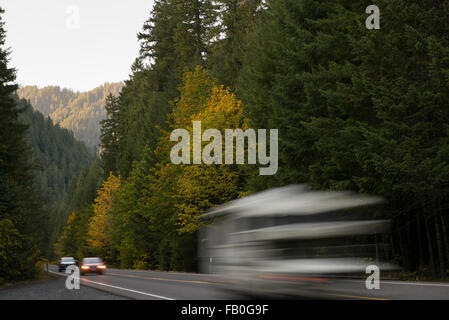 Les voitures et les véhicules de conduire sur la route de la rivière McKenzie occupé dans l'Oregon, qui est bordée de feuillus et de conifères. Banque D'Images